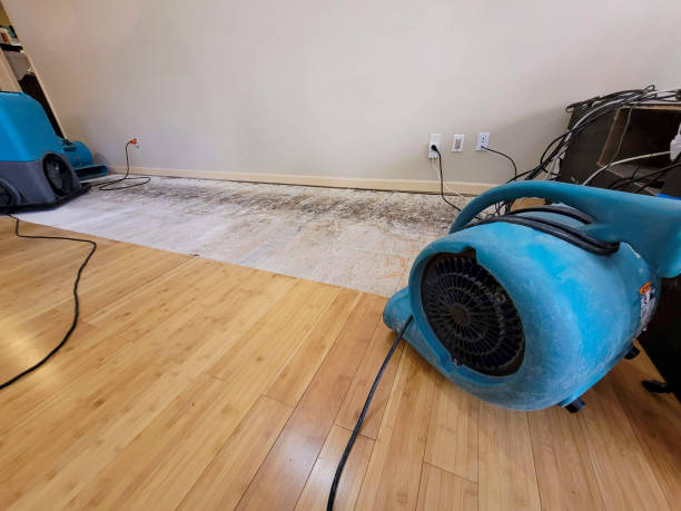 Professional Water Damage Repair technician working in McHenry, IL